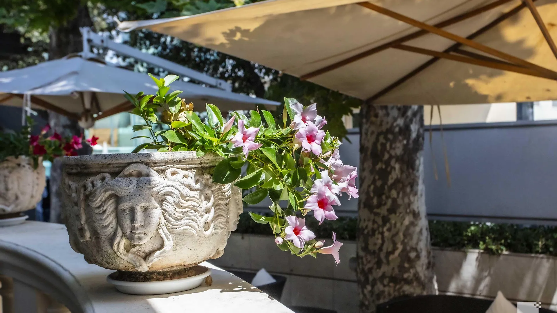 Hotel Regina Elena 57 & Oro Bianco Spa Rimini